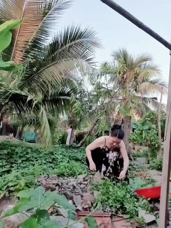 Em zai nào tự nguyện về Thông Cống cho Chị không.